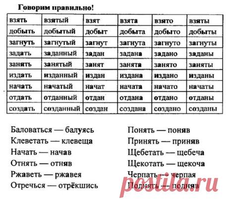 Поиск новостей по запросу #rus4t
