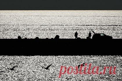 В России возобновили разминирование затонувшей в 1945 году баржи. В МЧС России решили возобновить разминирование затонувшей в 1945 году около Балтийска немецкой баржи. Об этом заявил начальник ГУ МЧС по Калининградской области Роман Емельянов, пишет РИА Новости. За неделю, добавил представитель МЧС, водолазы подняли со дна моря около 3000 различных взрывоопасных предметов.