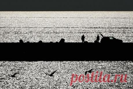 В России возобновили разминирование затонувшей в 1945 году баржи. В МЧС России решили возобновить разминирование затонувшей в 1945 году около Балтийска немецкой баржи. Об этом заявил начальник ГУ МЧС по Калининградской области Роман Емельянов, пишет РИА Новости. За неделю, добавил представитель МЧС, водолазы подняли со дна моря около 3000 различных взрывоопасных предметов.