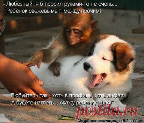 Не тронь !!!!