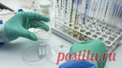 Профессор Волкова рассказала, как стать донором костного мозга. Профессор кафедры охраны окружающей среды Пермского Политеха Лариса Волкова назвала условия, при которых человек может стать донором костного мозга. Читать далее