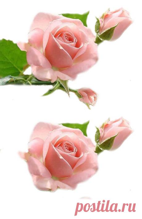 Плейкаст «ЧЕЛОВЕКУ МИЛОМУ И ДОБРОМУ..!»