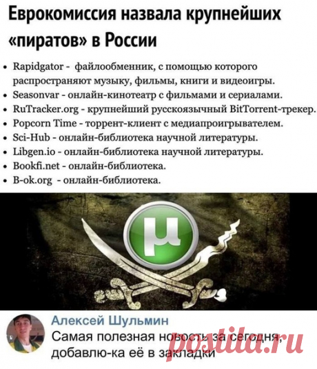 Дмитрий Пучков