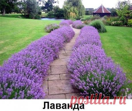 Мой Мир@Mail.Ru