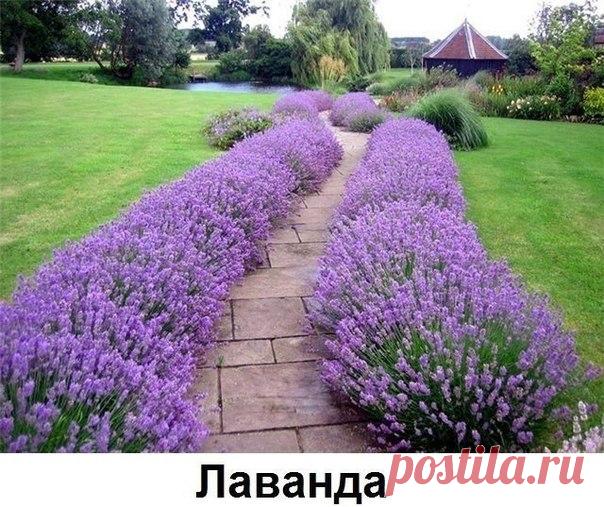 Мой Мир@Mail.Ru