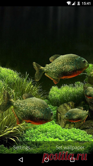 Живые обои для Андроид Fish aquarium 3D (рыбы, аквариум) -  обои для Android