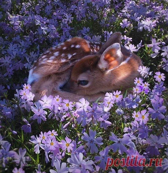 Всем хорошего дня! Cегодня пятница))))