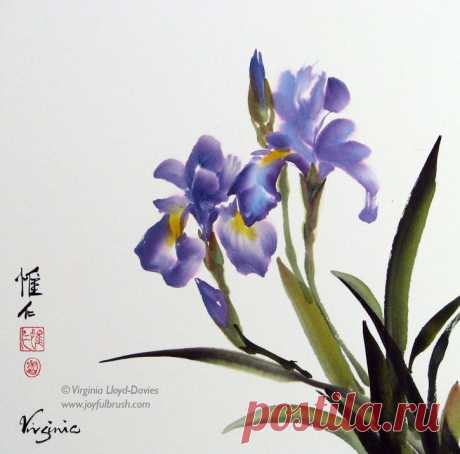 Iris  / Chinese Brush Painting - Virginia Lloyd-Davies  |  Найдено на сайте joyfulbrush.com.