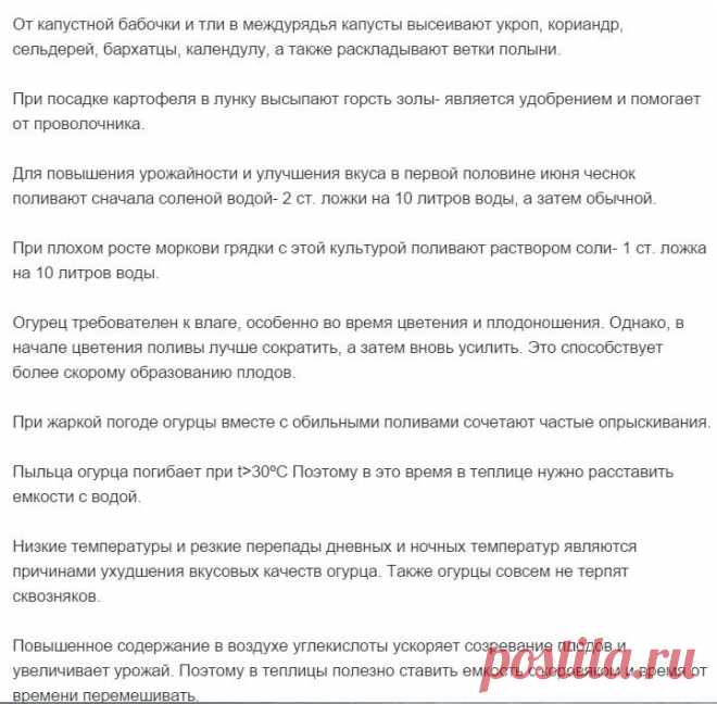 Gallery.ru / Фото #53 - Полезные советы - Engelis