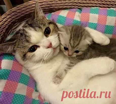 С лапочкой дочкой...