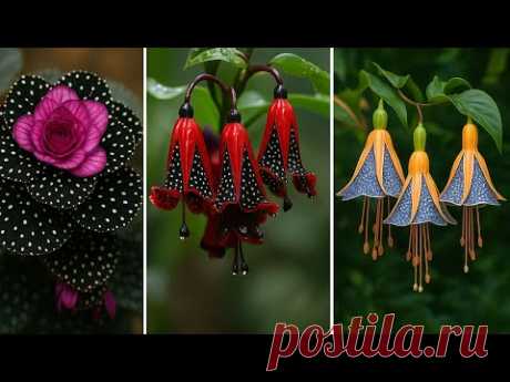 15 Самых Редких и Красивых Цветов в Мире – Последний Растёт Только в Тайном Месте!