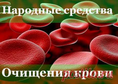 Причины и симптомы загрязнения крови | om-bazar.ru | Яндекс Дзен