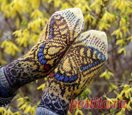 Дневник Montileda