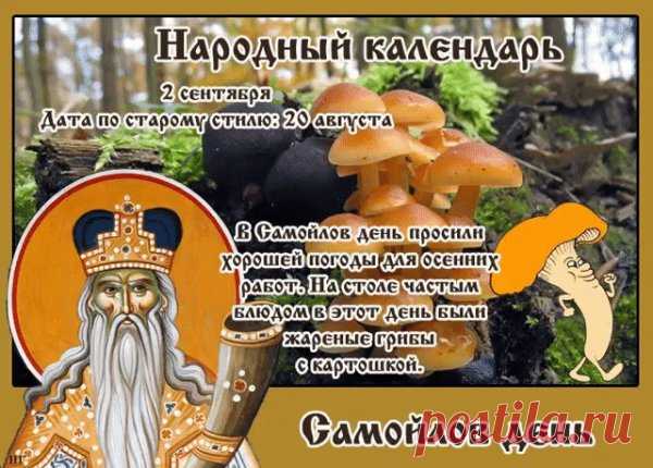 Самойлов день" — это народный праздник, отмечаемый 2 сентября, связанный с памятью о святом пророке Самуиле (или Самойле) и народными приметами о наступлении осени.