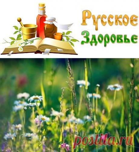 От радиации спасают травы