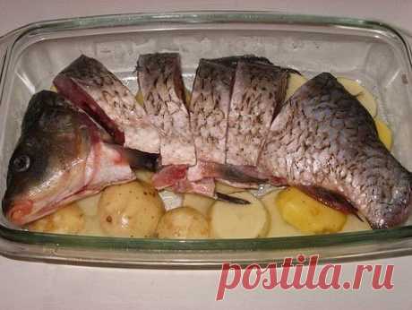 Карп, запеченный с овощами » В сети – себя просвети! - Развлекательный портал!