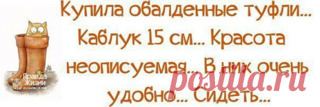 Купила обложенные туфли
