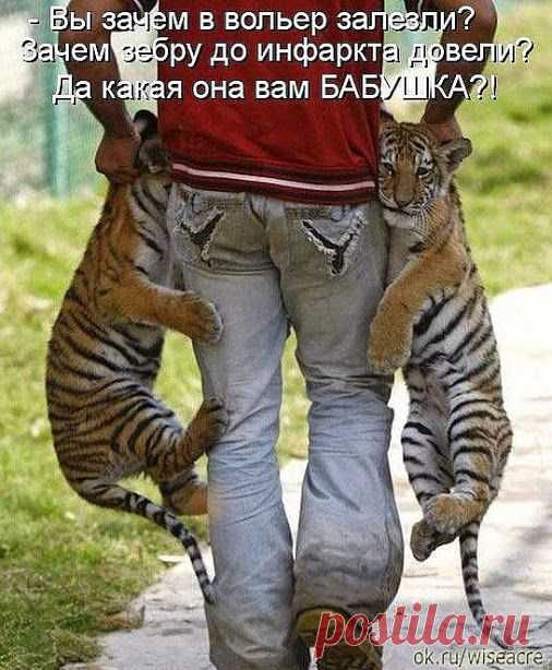 Google+