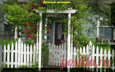 Эффектный палисаднику типового дома. Интересные советы из старого немецкого журнала | Дачные истории | Яндекс Дзен