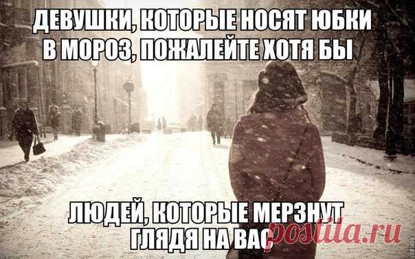 Весёлые картинки с подписями для хорошего настроения и улыбки с утра | Приколисты