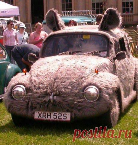 Weird, Wacky and Wild Cars