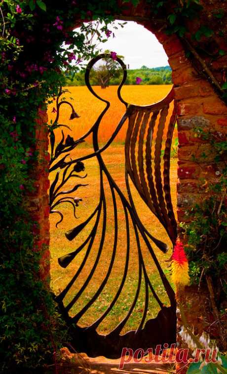 Wistfully Country