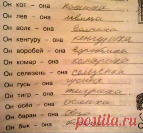 Гениальные ответы детей на контрольных работах / Всё самое лучшее из интернета