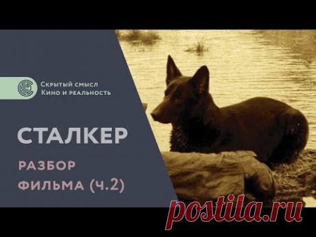 Сталкер (1979). Разбор фильма. Скрытый смысл [2]
