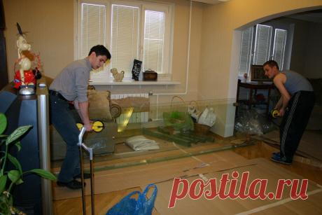 Форум аквариумистов - аквариумный форум: аквариумные рыбки, о растениях и прочие аквариумные вопросы. Aqa.ru - форум об аквариумах - форум аквариумистов