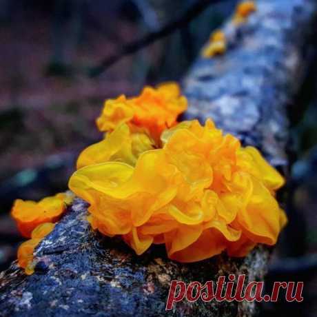 МОЯ ПЛАНЕТА 🌎🌎 Природа и путешествия