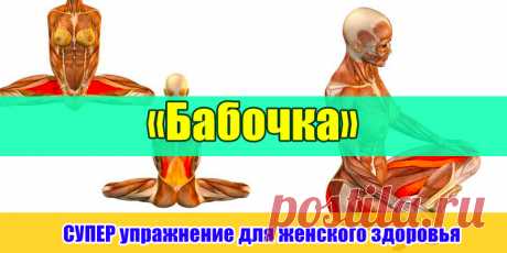 «Бабочка» — СУПЕР упражнение для женского здоровья | Полезные советы
