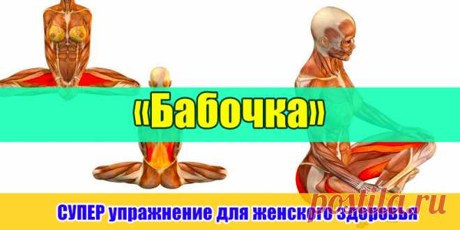 «Бабочка» — СУПЕР упражнение для женского здоровья | Полезные советы