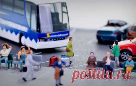 Советы по выживанию при долгих переездах в автобусе