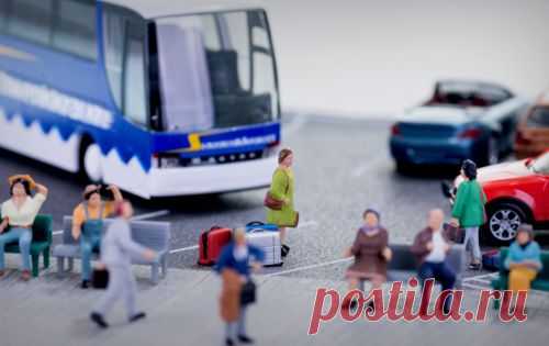 Советы по выживанию при долгих переездах в автобусе