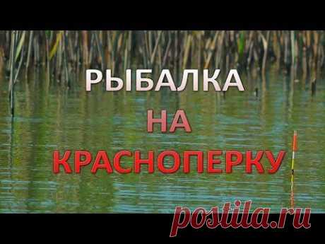 Рыбалка на красноперку