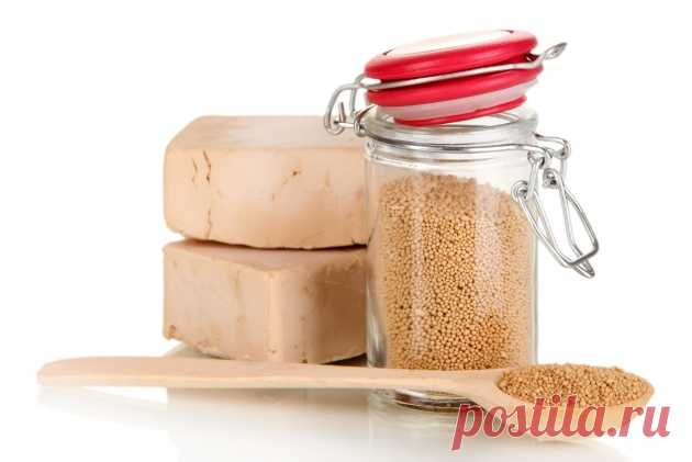 Подкормка комнатных растений дрожжами