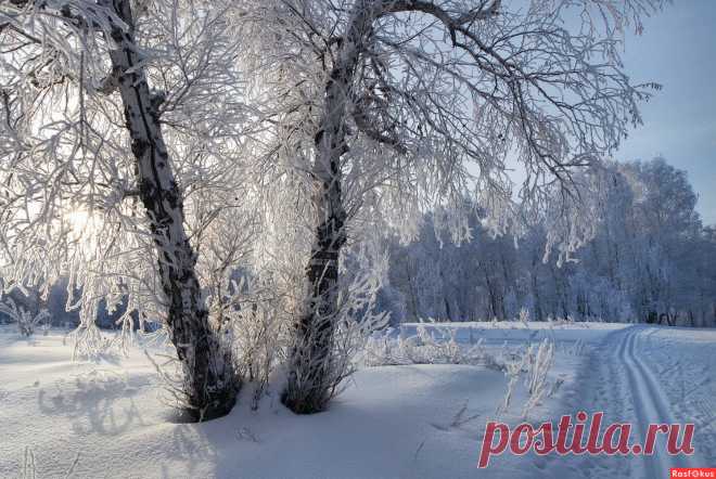Фото: Встречают лыжников :-). Не фотограф Галина Смирнова. Природа - Фотосайт Расфокус.ру