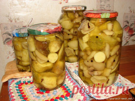 Вкусный рецепт маринованных грибов, опят, маслят и шампиньонов.