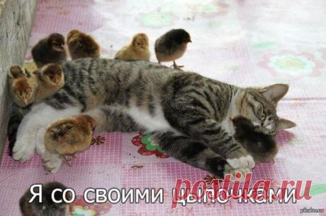 Вам сообщение!