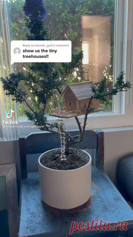 tiny plant houses