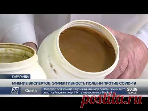 Эффективность полыни против COVID-19: мнения экспертов