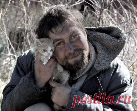 Погладь кота приходящего - Мир души, иллюзии и совершенство сознания - медиаплатформа МирТесен