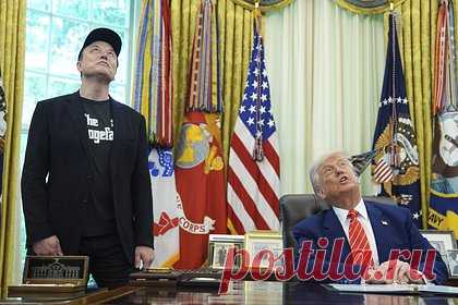 «Это зашло слишком далеко». Маск извинился перед Трампом за свои нападки. Могут ли они вновь стать союзниками?