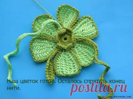 НОВЫЙ ЦВЕТОК В ТУНИССКОЙ ТЕХНИКЕ. (9 фото) | WmnDay.ru - Handmade, фитнес, интерьеры