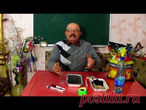 Начните свой небольшой  цветочный бизнес со мной!