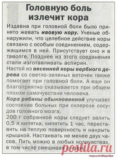 Головную боль излечит кора