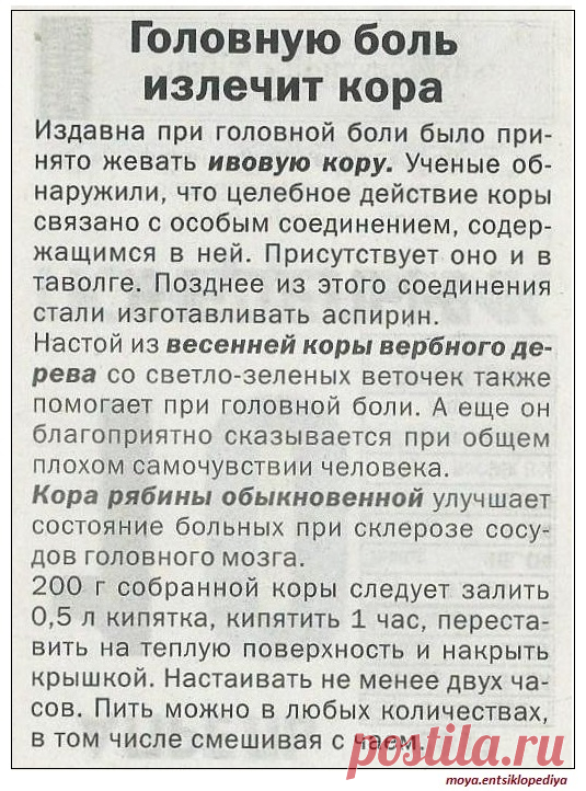 Головную боль излечит кора