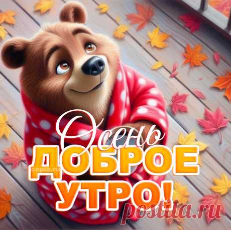 😃 Доброе Осеннее Утро - 225 новых картинок с красивыми пожеланиями