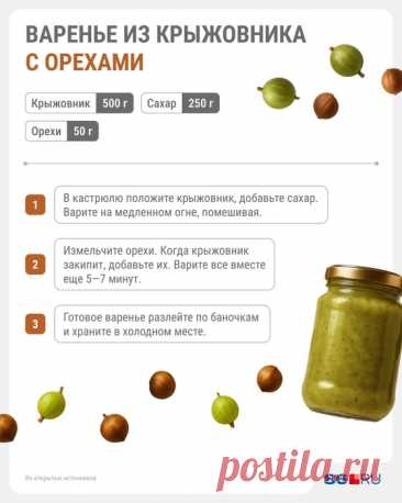 Варенье из крыжовника: 7 вкусных и простых рецептов заготовок на зиму - 17 июля 2025 | 76.ру