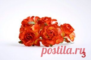 (6) Одноклассники